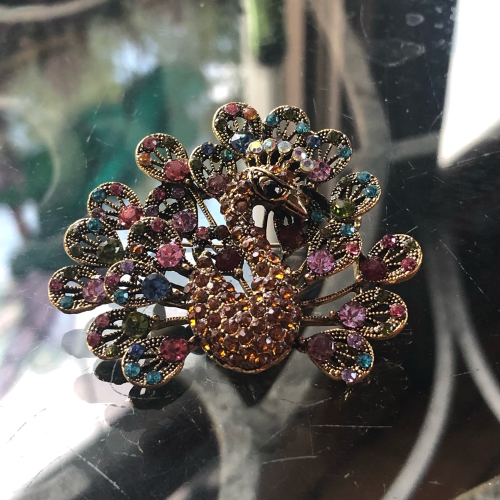 Dragonfly and peacock brooches